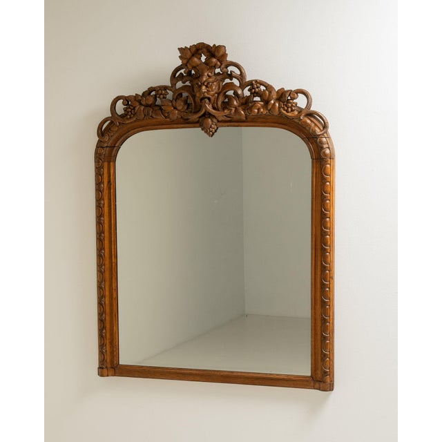 Wood 19th Century France Baroque Amber Wood Mirror For Sale - Image 7 of 9