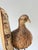 Vintage Taxidermy Ringneck Pheasant Mounted on Birchwood For Sale - Image 11 of 11