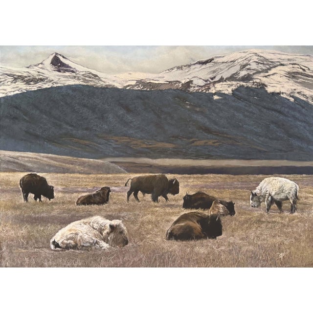 On an Overcast Day There Was Light Where the Sacred Laid by Sharon Pomales Tousey |Soft pastel on board depicting bison in a landscape with mountains. For Sale