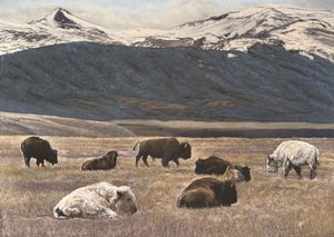 On an Overcast Day There Was Light Where the Sacred Laid by Sharon Pomales Tousey |Soft pastel on board depicting bison in a landscape with mountains.