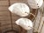 White Modern Lucite Leaves Accent Lamp For Sale - Image 8 of 18