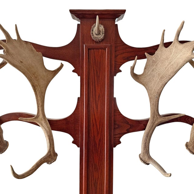 Vintage Fallow Deer Antler Hall Tree For Sale In Chicago - Image 6 of 15