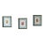 Vintage Framed Indian Miniature Style Prints – Set of 3 For Sale