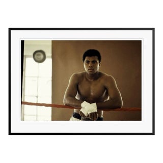 Muhammad Ali Training in Florida Black Framed Archival Pigment Print - 37 X 47” For Sale