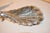 Pair of Signed Sterling Silver Peacock Dishes From Gorham, Circa 1920 For Sale - Image 11 of 12