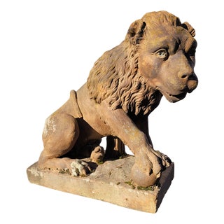 Lion Sculpture in Terracotta, 1800s For Sale