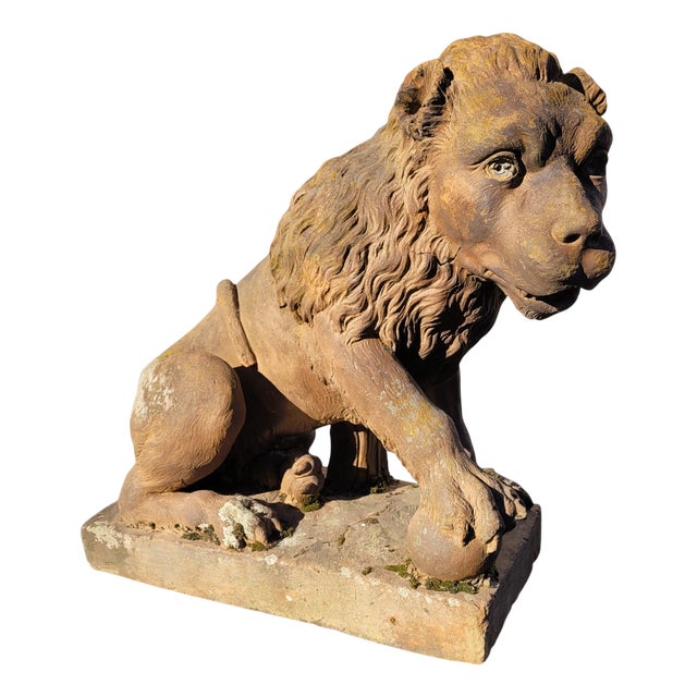 Lion Sculpture in Terracotta, 1800s For Sale