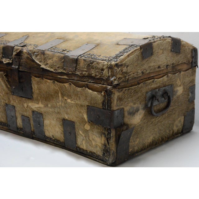 19th Century Spanish Colonial Hide Covered Trunk For Sale - Image 4 of 11