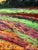 Oil Painting Sunset Behind the Forest v. Zadorozhnya For Sale - Image 11 of 12
