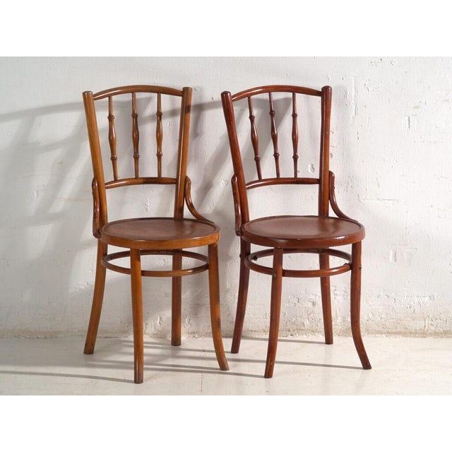 Bentwood Chairs in the style of Thonet, Central Europe, 1930, Set of 4 For Sale - Image 9 of 17