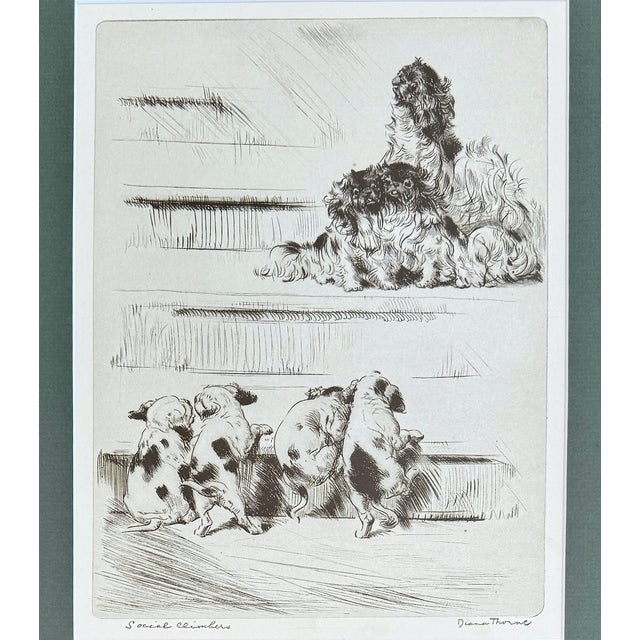 "A delightful framed etching by Diana Thorne (1894–1963), the celebrated British-born illustrator whose canine portraits...