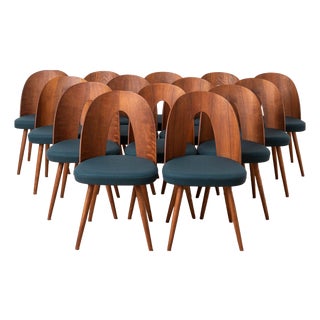 Mid-Century Modern Dining Chairs by A. Šuman, 1960s, Set of 14 For Sale