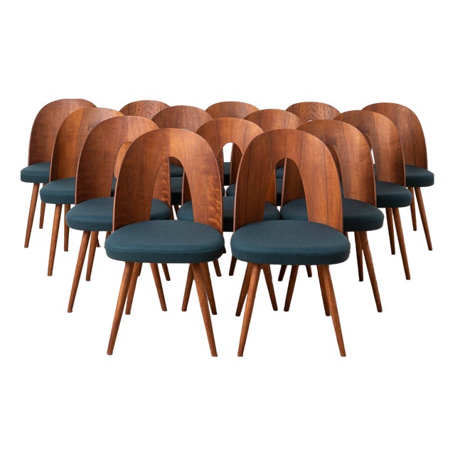 Mid-Century Modern Dining Chairs by A. Šuman, 1960s, Set of 14 For Sale