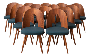 Mid-Century Modern Dining Chairs by A. Šuman, 1960s, Set of 14