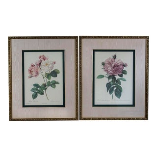 P. J. Redoute Botanic Rose Prints in Gold Gilt Ornate Frames - a Pair For Sale
