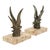 Art Deco Swallows Bookends, 1930s, Set of 2 For Sale - Image 12 of 14