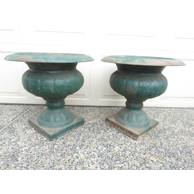 Pair of Antique French Medici Style Cast Iron Urns For Sale - Image 17 of 18