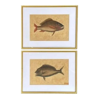18th Century Framed Fish Engravings by Mark Catesby, a Pair For Sale