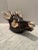 Ceramic Fabulous Mancioli Porcelain Stag’s Head Tureen For Sale - Image 7 of 8