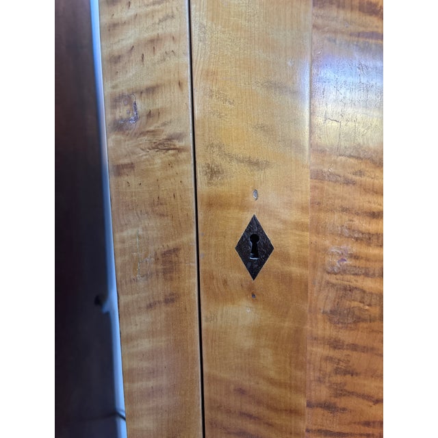Mid 19th Century Biedermeier Style Tall Cabinet For Sale - Image 13 of 15