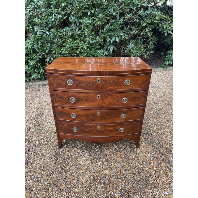 Antique Georgian Mahogany Bow Fronted Chest of Drawers, 1820 For Sale - Image 12 of 12