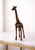 Antique Brass Finish Metal Giraffe Sculpture For Sale - Image 4 of 8