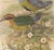 Victorian Circa 1893-1895 English Framed Lithograph of the Eucichla Ellioti by William Matthew Hart For Sale - Image 3 of 8