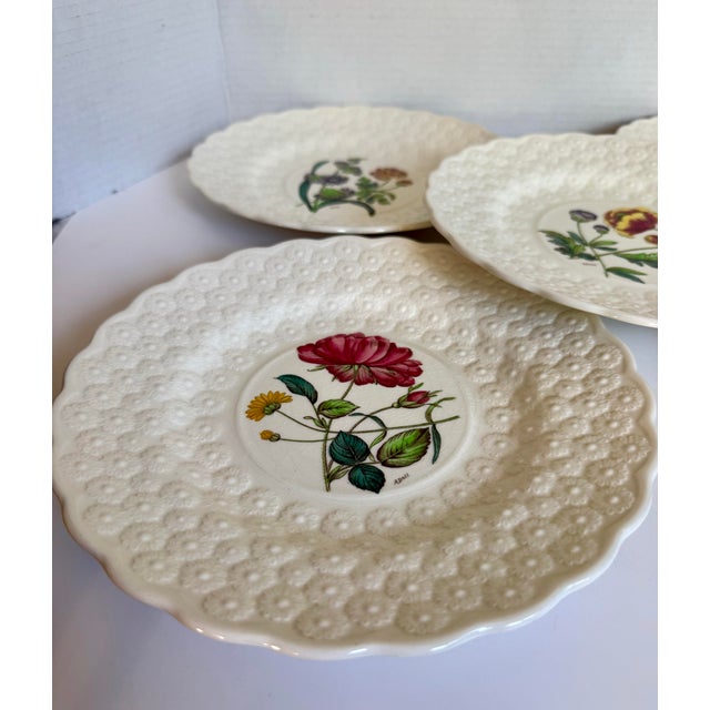 Vintage Spode Copeland England Botanical Luncheon Plates — Set of 10 For Sale - Image 11 of 16