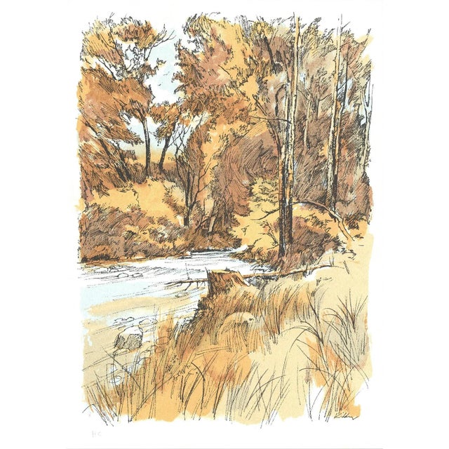 Artist: Laurie Kidder Title: Forest Scene Year: 1975 Signed: No Medium: Lithograph Paper Size: 23.75 x 17.25 inches (...