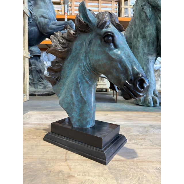 Patinated Horse Head Bust, Bronze For Sale - Image 5 of 8