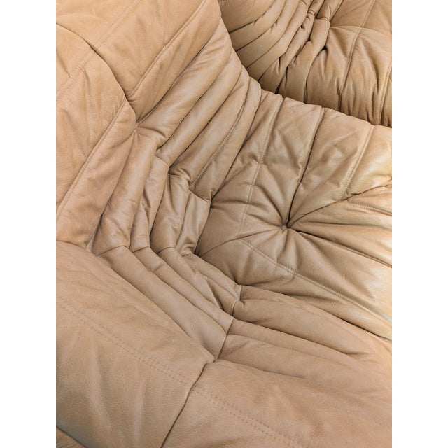 1970s Togo Chairs by Michel Ducaroy for Ligne Roset, 1973, Set of 2 For Sale - Image 5 of 9