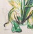 1970s Salvador Dali "Daylily (Elephant)" Etching, 1972 For Sale - Image 5 of 13