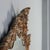 Carved and Gilded Wooden Table Mirror For Sale - Image 9 of 11
