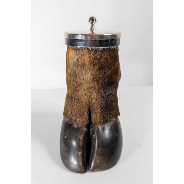 We are selling this cool Victorian style taxidermy Moose hoof or Moose knuckle. This cool piece appears to have originally...