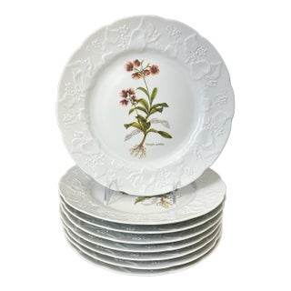 Dansk Botanical Floral Dinner Plates. Embossed Rim. Set of 8. France For Sale