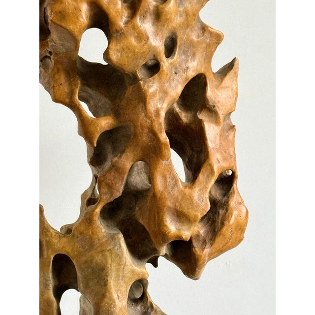 Tall Elegant Chinese Scholar Rock Yellow Taihu Stone on Wood Stand For Sale - Image 4 of 18