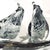 Alfredo Barbini 1970's Murano Attributed Blown Glass Love Birds on Branch Figurine For Sale - Image 4 of 12