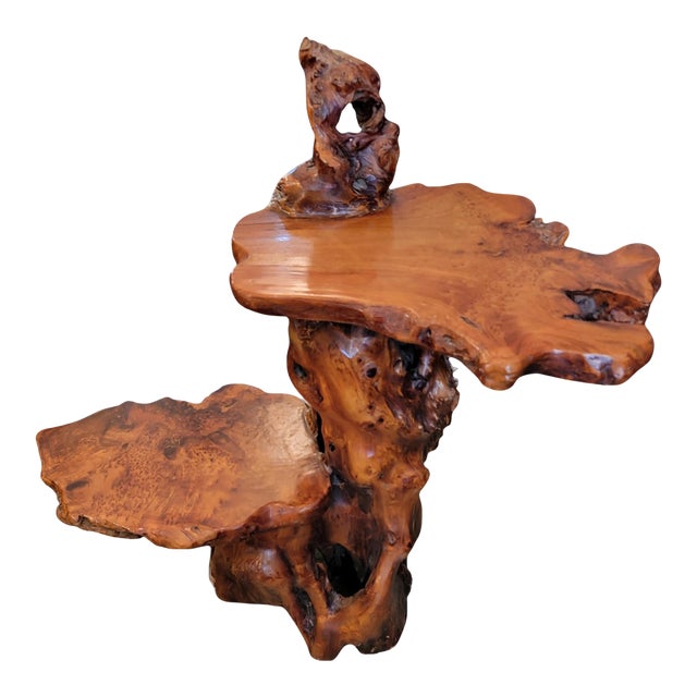 1970s Freeform Root Wood Slab Pedestal Stand | Chairish