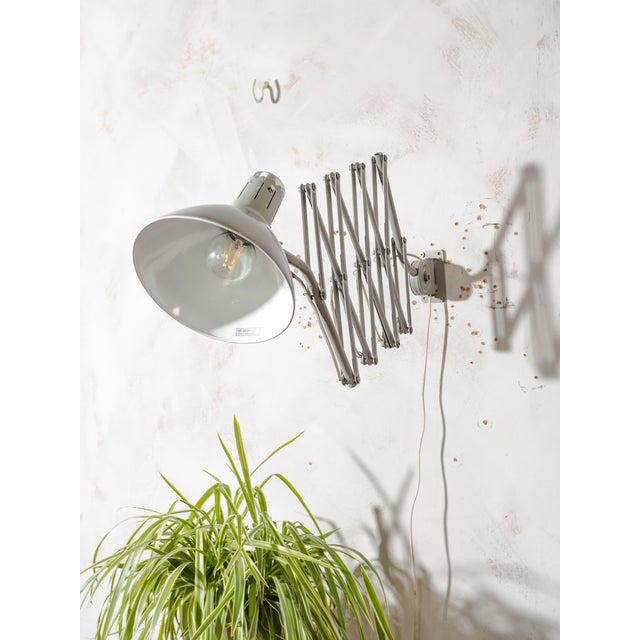 Bauhaus Vintage Gray Hala Zeist Scissor Lamp, 1960s For Sale - Image 3 of 14
