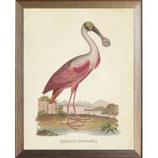 Roseate Spoonbill in Distressed Metallic Frame 25x31 For Sale