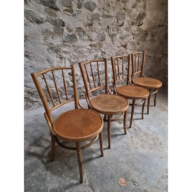 Vintage Bentwood Bistro Chairs from Fischel, Czechoslovakia, 1940s, Set of 4 For Sale - Image 17 of 18