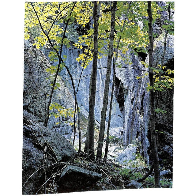 "Forever Wild: The Adirondacks" 1966 Porter, Eliot For Sale - Image 12 of 12