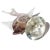 Glass Murano Dino Martens Vintage Sommerso Soft Champagne Purple Italian Art Glass Fish Sculpture Figure For Sale - Image 7 of 7
