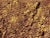 Bronze "Cosmogony-the Earth" Contemporary Brutalist Style Natural Color Palette Landscape Painting by Diane Grant For Sale - Image 8 of 10