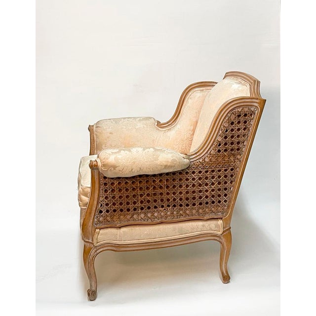 Renaissance 1970s Vintage Silk and Cane Sitting Chair For Sale - Image 3 of 5