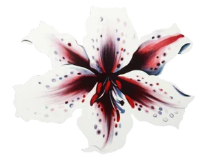 Lowell Blair Nesbitt "Lilium" Serigraph