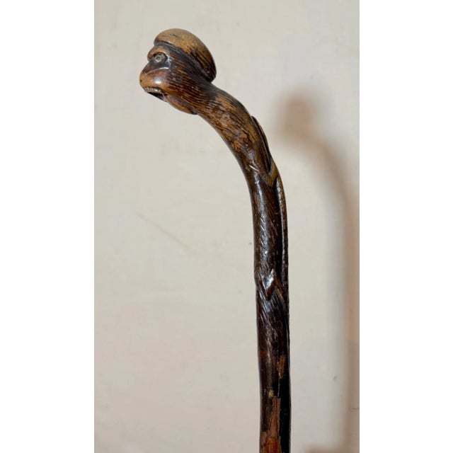 Share Antique 19th Century Hand Carved Folk Art Monkey Lizard Walking Stick Cane For Sale - Image 11 of 16