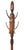 Early 20th Century Vintage Freestanding Coat Rack by the Fair Furniture Company Newark New Jersey For Sale - Image 5 of 8
