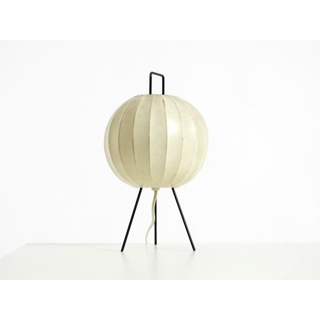 Mid-Century Modern Tripod Cocoon Table Lamp, 1950s For Sale - Image 4 of 18