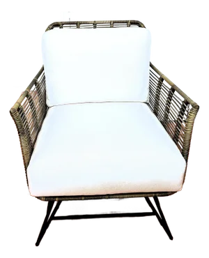 Palecek Indoor/Outdoor Hermosa Lounge Chair